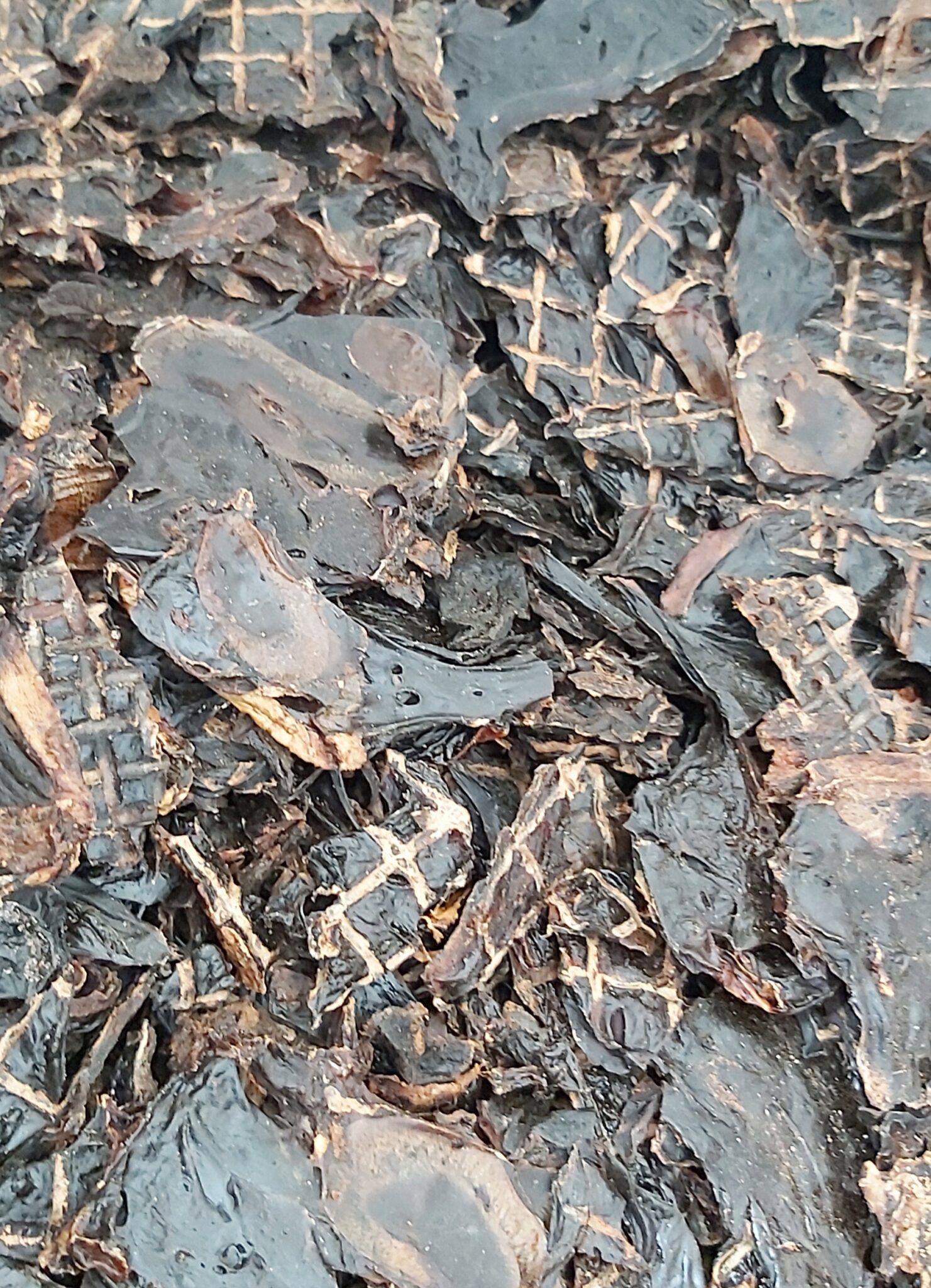 Kangaroo Liver 1kg bags - Image 2