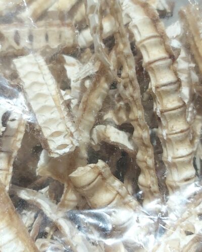 Shark Cartilage thin split Bulk Buy 10 x 1kg bags