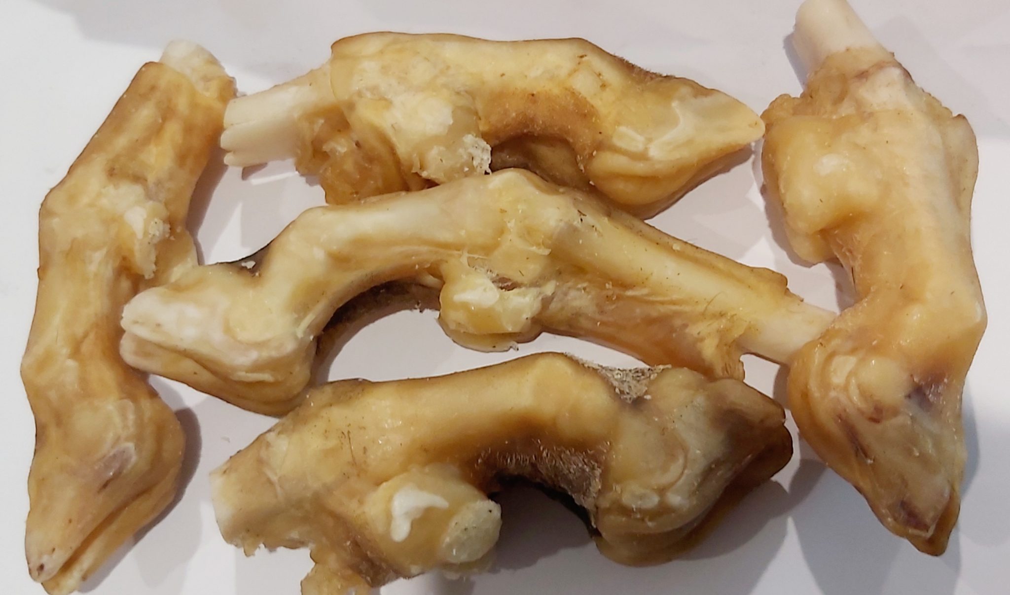 Goat trotter 10 pack