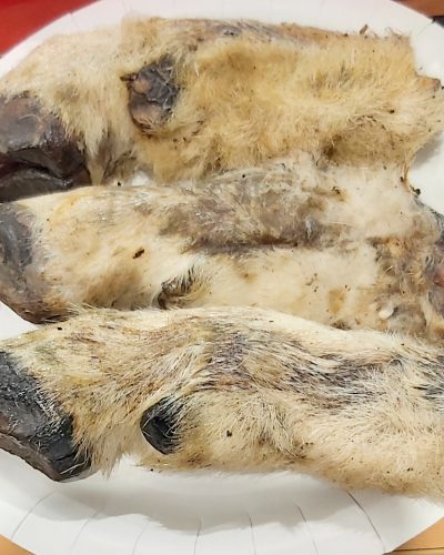 Sheep feet With Hair Bulk Buy 50 pack