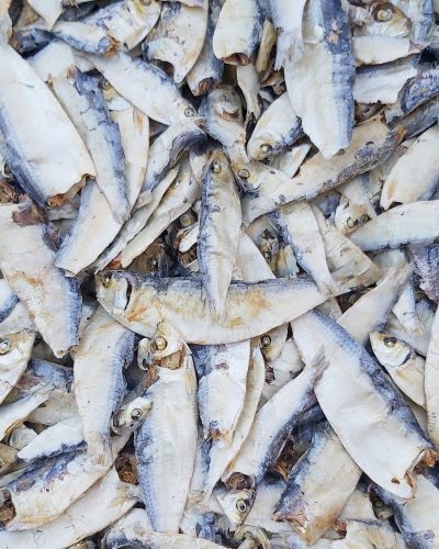 Whole Sardines small fish Bulk buy 10kg